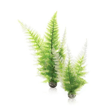 OASE biOrb 造型水生冬蕨2入組