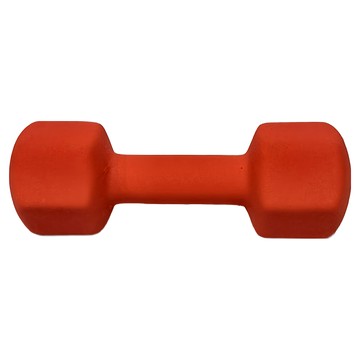 SUCCESS 成功 防滑塑身啞鈴 4kg  1個