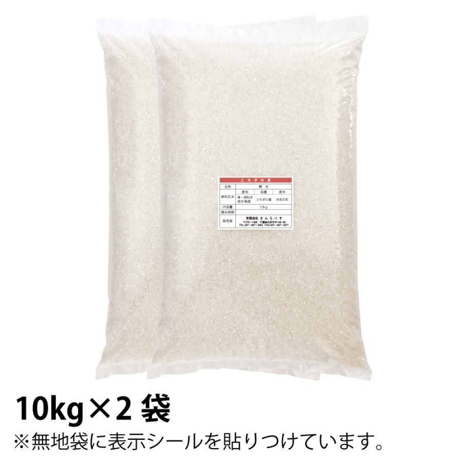 新米 令和5年 20kg とちぎの星 お米 米 栃木県産 業務用米 まとめ買い