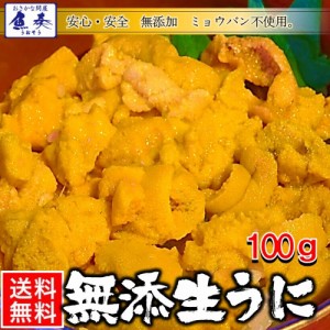 無添加 冷凍生うに 100g チリ産 AAグレード うに丼約2杯分のお試し 送料無料 雲丹 ウニ