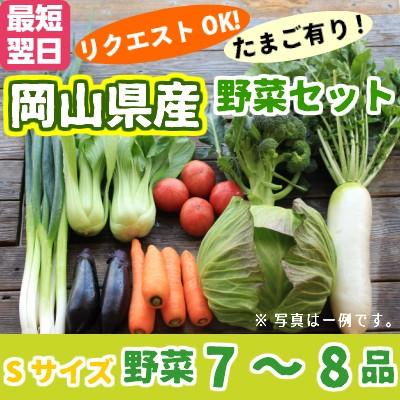 野菜セットSサイズ