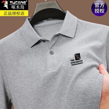 啄木鳥100%冰絲秋季長袖t恤男士高檔翻領polo衫寬松休閑純色上衣