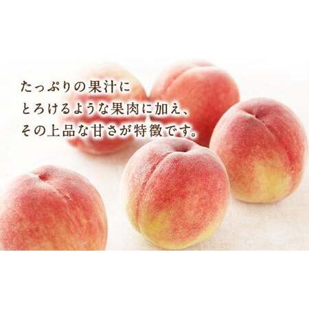 ふるさと納税  先行予約 産地直送 桃 化粧箱入り 約1.0kg 福岡県広川町