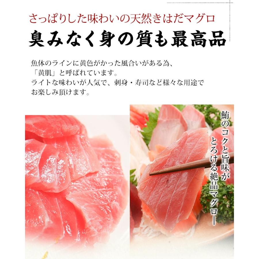 まぐろ マグロ刺身 天然きはだまぐろ 100g 赤身 カット済み 血合い処理済み可食部100％ 鮪 プレゼント お歳暮 2023 ギフト