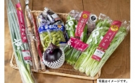 季節の京野菜セット