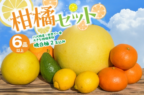 八代市産 柑橘セット（晩白柚2玉入り） 柑橘 みかん 果物 フルーツ 熊本県産