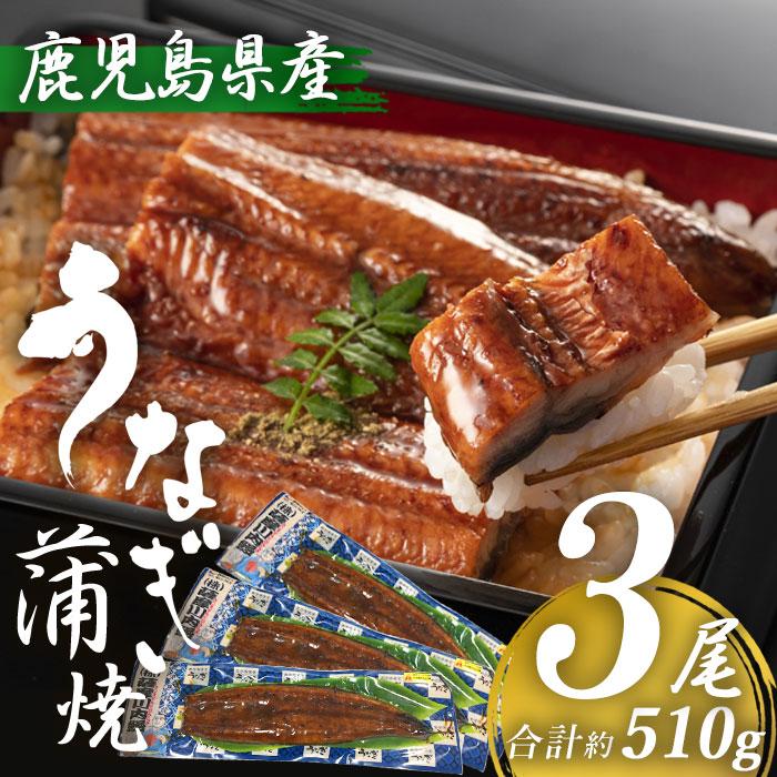 鹿児島県産 うなぎ蒲焼き 約170g×3尾 (タレ・山椒付き)  特大 国産 九州産 鹿児島産 薩摩川内うなぎ 冷凍 鹿児島 誕生日 御歳暮 お祝い お礼 内祝い 退職祝い