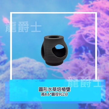 ✨現貨✨[龍爵士水族]圓形水草培植甕 裝飾品 造景 擺飾 飾品 擺件 魚缸造景 魚缸擺飾 魚躲藏 Z14