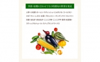 野菜セット（7‐9種類）栽培期間中農薬不使用！ 季節の野菜 旬 無農薬 野菜 やさい 新鮮 自然 健康 セット 詰め合わせ 冷蔵 美味しい おいしい 食べ物 食材 秋 旬の味覚 ご当地 お取り寄せ 芸西村 5000円 故郷納税 ふるさとのうぜい 返礼品 高知県産 高知