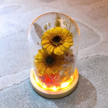 永生花玻璃燈罩-非洲菊。向日葵。小夜燈。玻璃盅