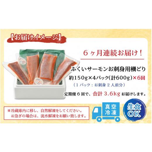 ふるさと納税 福井県 あわら市 《定期便6回》ふくいサーモン 柵どり 150g×4パック 計600g ＜鮮度抜群！真空冷凍＞ ／ 生食OK 刺身 鮭 国産 ※202…