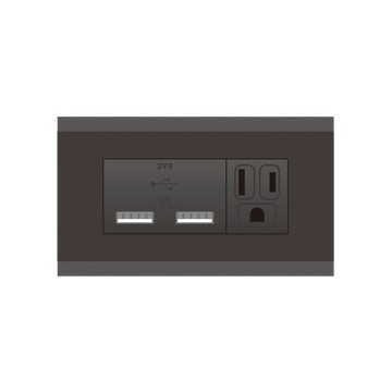DOUBLE VICTORY 【月光彩色烤漆款】雙USB+1接地插座 2入組
