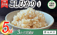 米 こしひかり 玄米 5kg × 3回 令和5年産 沖縄県への配送不可 2023年11月上旬頃から順次発送予定 米澤商店 コシヒカリ 玄米 長野県 飯綱町 [1353]