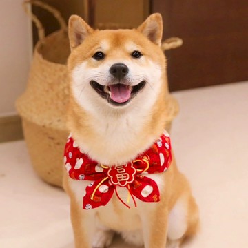 【汪喵森活】 春節 4款30kg內 紅色領巾 寵物圍巾結婚 婚禮 過年圍巾 狗圍巾 狗圍脖 貓圍巾 寵物配件 新春 新年