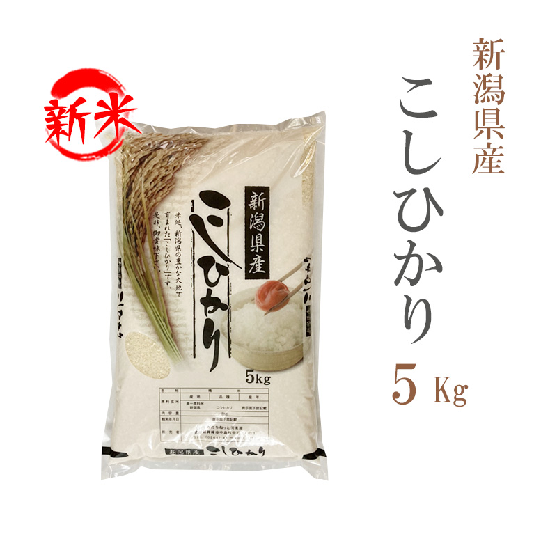 新米 米 白米 5kg コシヒカリ 新潟県産 令和5年産 コシヒカリ お米 5キロ 安い 送料無料