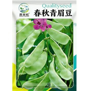 【台灣本土豆】原裝青眉豆種子｜煮湯燉補 古早味十足｜陽台可種 爬藤綠化｜自種安心 懷舊好味道｜附簡易搭架指南｜現貨