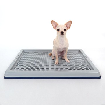 Dingdong Pet 寵物寬型便盆  62 x 45.5 x 4.5 cm  1個  海軍藍