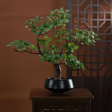 開發票 最低價  仿真植物 新款仿真綠植盆景中式綠葉盆栽禪意裝飾擺件假花植物室內家居飾品 快速出貨