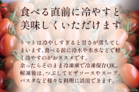 AF014 全国にファンがいる高級フルーツトマト たっぷり！アイコ 1kg