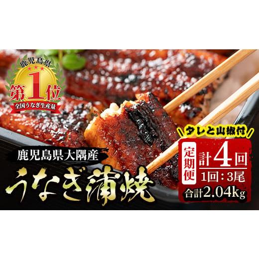 ふるさと納税 鹿児島県 鹿屋市 2182 大隅特産うなぎ蒲焼 3尾（510g）