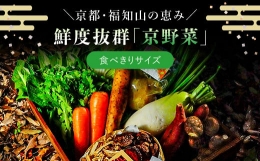 鮮度抜群「京野菜」　食べきりサイズ詰合せ  ふるさと納税 京野菜 野菜 京都府 福知山市