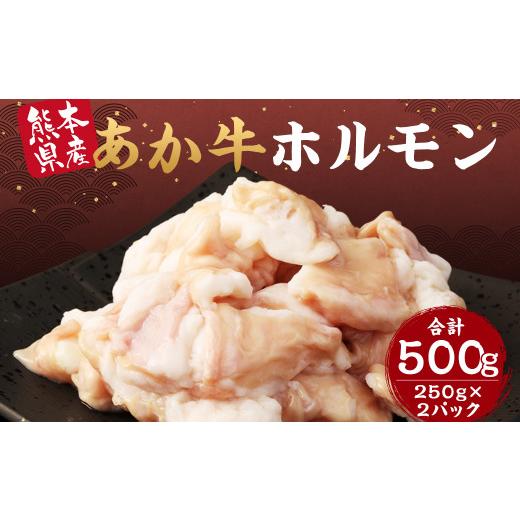 ふるさと納税 熊本県 益城町 あか牛 ホルモン 500g 250g×2パック シロホルモン もつ鍋 もつ煮込み 牛 もつ