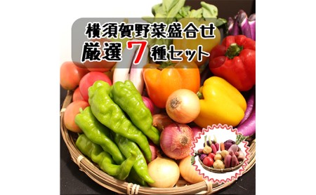 野菜セット 横須賀産 厳選 野菜 7種 詰め合わせ