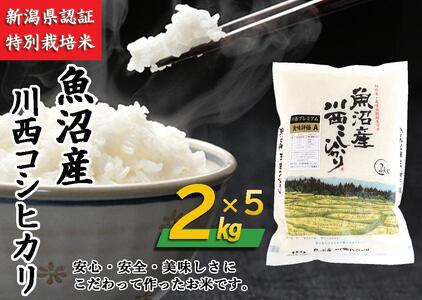 魚沼産川西こしひかり2kg×5　新潟県認証特別栽培米　令和５年度米