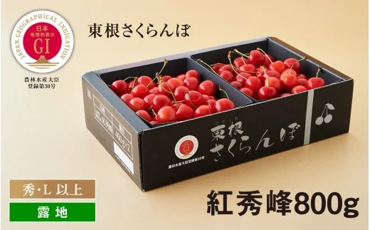 GI「東根さくらんぼ」 2024年産 紅秀峰800gバラ詰め 　hi001-015