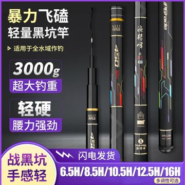 漁獵峰二代黑坑竿19調高碳輕硬飛魚搶魚飛磕正調魚竿胡庫綜合竿