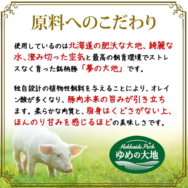 朝食セット ハム ソーセージ ベーコン 5種類 北海道産豚肉100% アウトドア BBQ お取り寄せ おうちグルメ 送料無料 冷蔵 ギフト 贈答品 お歳暮
