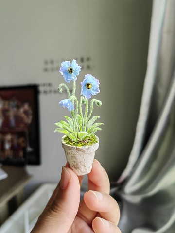 绿绒蒿微縮黏土藍紫色迷你盆栽