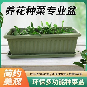 好物嚴選🎁陽臺室內蔬菜花卉種植菜盆塑料花盆長方形加厚家庭種菜清倉花盆EV