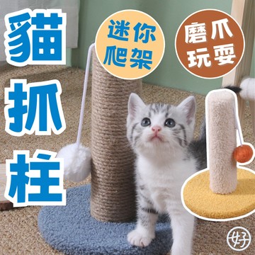 （迷你尺寸）貓抓柱 貓咪玩具 貓咪貓抓柱 貓抓板 麻繩款 泰迪絨款 附吊球 磨爪柱 貓玩具 自嗨貓玩具 不佔空間 高雄