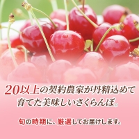 先行受付 2024年7月から出荷 北海道 仁木町産 サクランボ 紅秀峰 600g 厳選品  松山商店