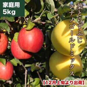 RED APPLE 12月上旬より順次出荷 葉とらずふじシナノゴールドミックス 家庭用 約5kg りんご 林檎 果物 フルーツ ギフト 旬