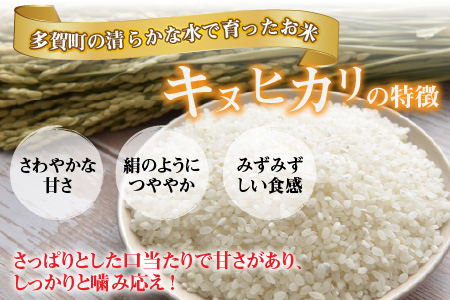 キヌヒカリ20kg（5kg × 4袋） おいしい多賀のお米