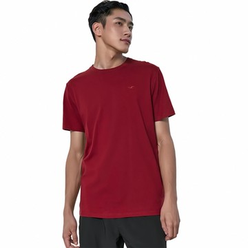 Hollister 海鷗 熱銷刺繡海鷗素面短袖T恤-酒紅色