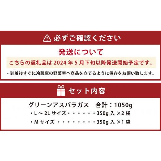 ふるさと納税 北海道 旭川市 グリーンアスパラギフト（L〜2Lサイズ：350g×2袋、Mサイズ：350g×1袋）（2024年5月下旬以降発送開始予定）