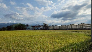 近國道五號、羅東轉運站總價美農地｜宜蘭縣羅東鎮新群一段