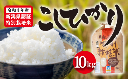 令和5年産 新潟県認証特別栽培米 コシヒカリ10kg