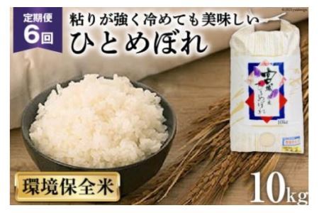 お米 6回 定期便 宮城産 ひとめぼれ 環境保全米 10kg×6回 総計60kg [菊武商店 宮城県 気仙沼市 20562733]