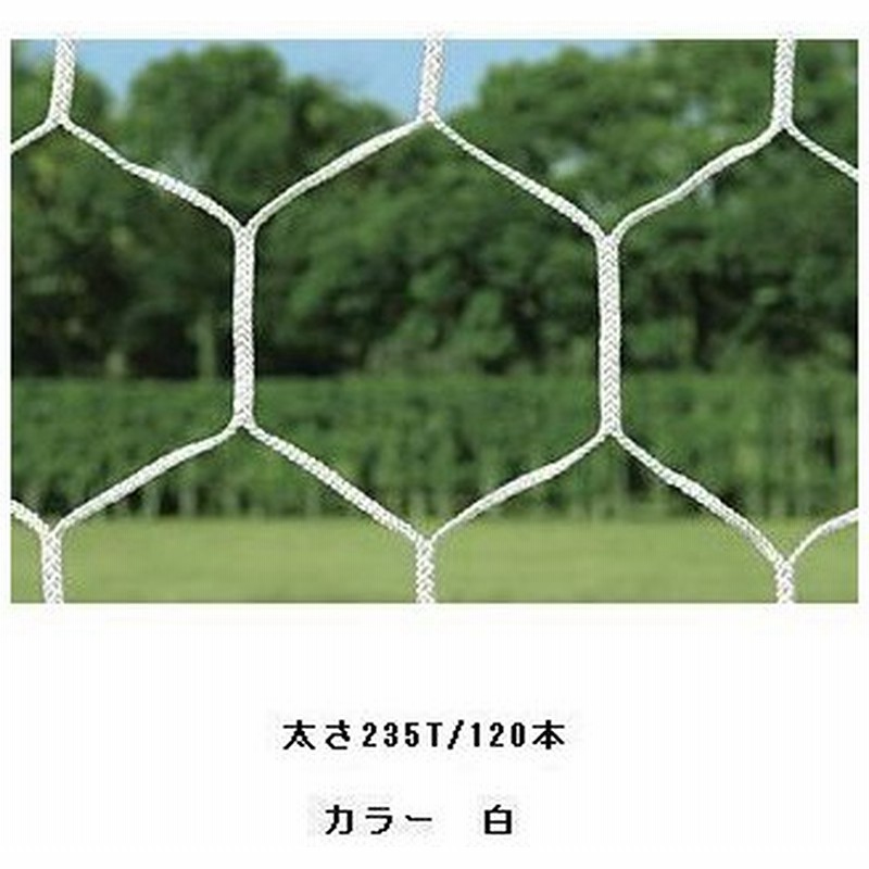 法人限定 サッカー フットサル 試合用品ゴール サッカーゴールネットhexa B 6500 特殊送料 ランク 4 Tol Qcc16 Www Kikizake Com