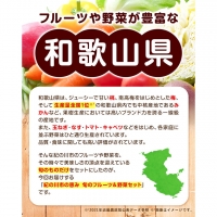 紀の川市の恵み 旬のフルーツ＆野菜セット 計8～10品《お申込み月翌月から出荷開始》和歌山県 紀の川市 フルーツ 果物 野菜 セット 桃 梅 みかん 新玉ねぎ なす トマト キャベツ