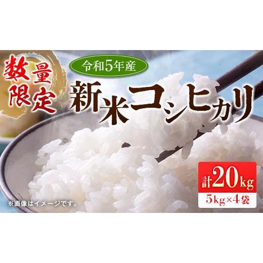 ふるさと納税 宮崎県 日南市 ≪数量限定≫新米コシヒカリ計20kg(5kg×4袋)　米　お米　ご飯　国産 DC7-23