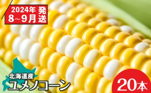 予約受付 北海道産 甘い とうもろこし ユメノコーン ２０本