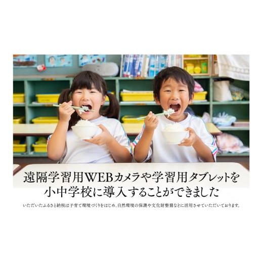 ふるさと納税 山形県 尾花沢市 米 新米 20kg 5kg×4 つや姫 精米 令和5年産 2023年産 山形県尾花沢市産 送料無料 12月下旬発送 ja-tssxa20-12s