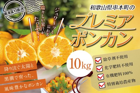 濃厚な甘さと風味！くしもとポンカン L～2Lサイズ 10kg  有機率100%肥料 