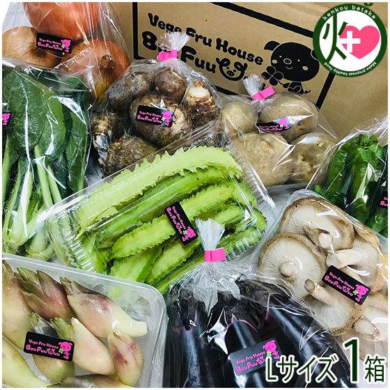 旬の採れたて新鮮野菜詰め合わせ Lサイズ Buu Fuu Uuu 乳酸菌生産物質を使用 お客様の食卓に笑顔を届け (中身は季節により異なります)