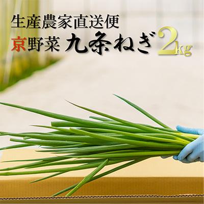 ふるさと納税 宇治田原町 京野菜・九条ネギ　約2kg  (農家直送便)